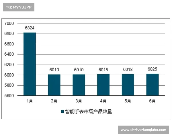 足球转会市场竞争态势分析与未来发展趋势探讨报告